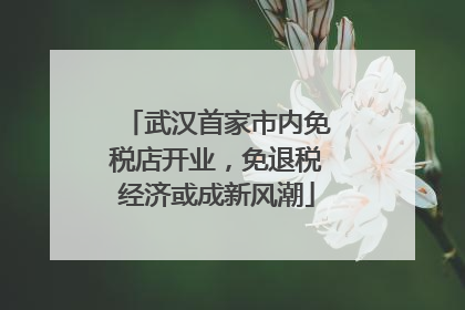 武汉首家市内免税店开业，免退税经济或成新风潮