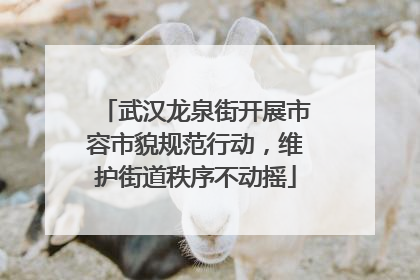 武汉龙泉街开展市容市貌规范行动，维护街道秩序不动摇