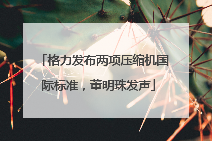 格力发布两项压缩机国际标准，董明珠发声