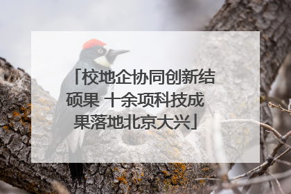 校地企协同创新结硕果 十余项科技成果落地北京大兴