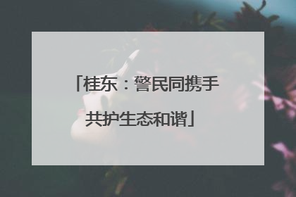 桂东：警民同携手 共护生态和谐