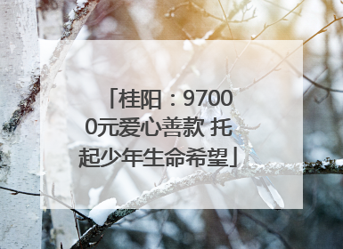 桂阳：97000元爱心善款 托起少年生命希望
