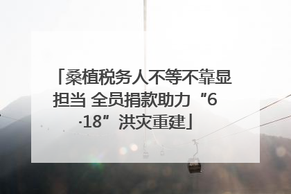 桑植税务人不等不靠显担当 全员捐款助力“6·18”洪灾重建