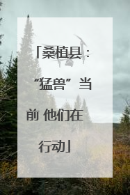 桑植县：“猛兽”当前 他们在行动