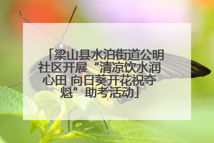 梁山县水泊街道公明社区开展“清凉饮水润心田 向日葵开花祝夺魁”助考活动