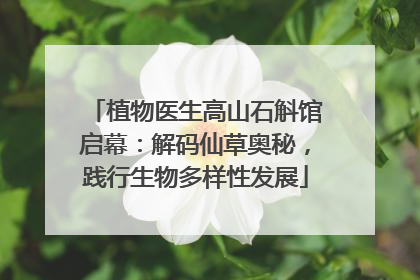 植物医生高山石斛馆启幕：解码仙草奥秘，践行生物多样性发展