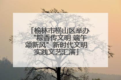 榆林市横山区举办“粽香传文明 端午颂新风”新时代文明实践文艺汇演