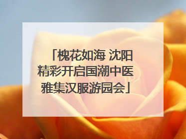 槐花如海 沈阳精彩开启国潮中医雅集汉服游园会
