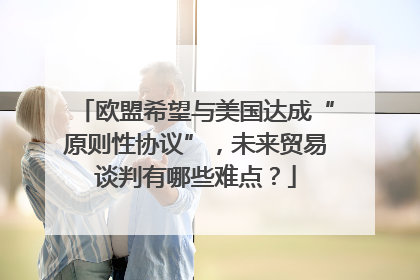 欧盟希望与美国达成“原则性协议”，未来贸易谈判有哪些难点？
