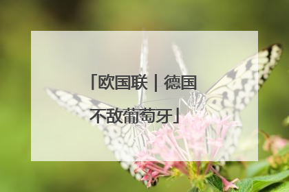 欧国联｜德国不敌葡萄牙