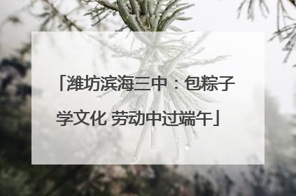 潍坊滨海三中：包粽子学文化 劳动中过端午