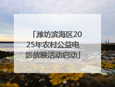 潍坊滨海区2025年农村公益电影放映活动启动