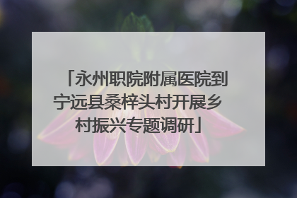 永州职院附属医院到宁远县桑梓头村开展乡村振兴专题调研