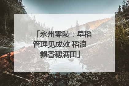永州零陵：早稻管理见成效 稻浪飘香穗满田