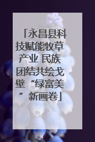 永昌县科技赋能牧草产业 民族团结共绘戈壁“绿富美”新画卷
