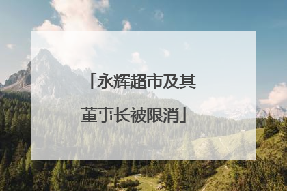 永辉超市及其董事长被限消