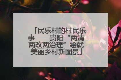 民乐村的村民乐事——贵阳“两清两改两治理”绘就美丽乡村新图景