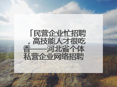 民营企业忙招聘，高技能人才很吃香——河北省个体私营企业网络招聘大会扫描