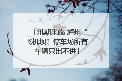 汛期来临 泸州“飞机坝”停车场所有车辆只出不进