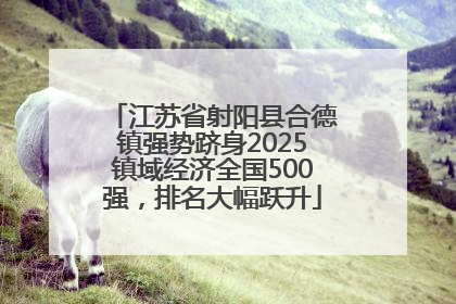 江苏省射阳县合德镇强势跻身2025镇域经济全国500强，排名大幅跃升