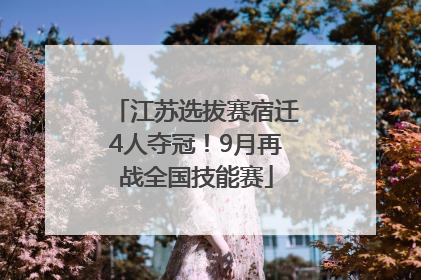 江苏选拔赛宿迁4人夺冠！9月再战全国技能赛