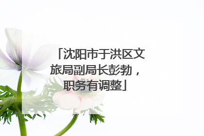 沈阳市于洪区文旅局副局长彭勃，职务有调整