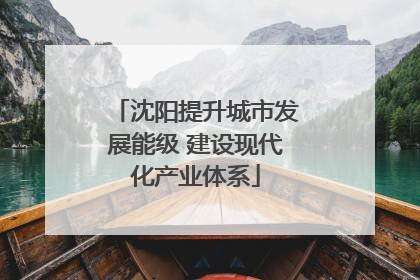 沈阳提升城市发展能级 建设现代化产业体系