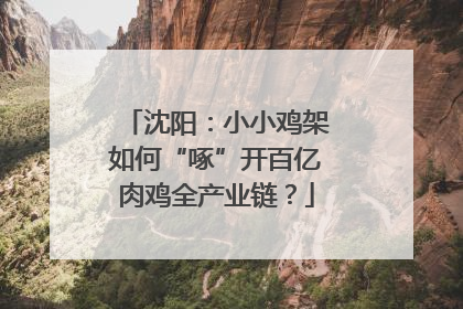 沈阳：小小鸡架如何“啄”开百亿肉鸡全产业链？