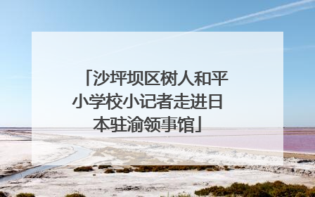 沙坪坝区树人和平小学校小记者走进日本驻渝领事馆