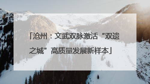 沧州：文武双脉激活“双遗之城”高质量发展新样本