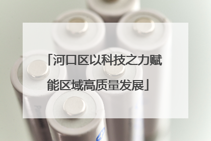 河口区以科技之力赋能区域高质量发展