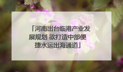 河南出台临港产业发展规划 欲打造中部便捷水运出海通道