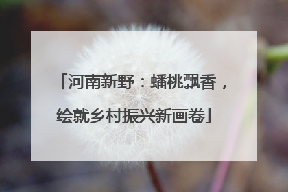 河南新野：蟠桃飘香，绘就乡村振兴新画卷