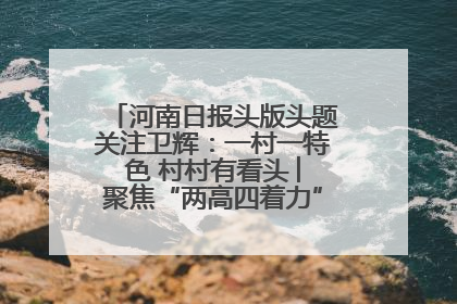 河南日报头版头题关注卫辉：一村一特色 村村有看头 ︳聚焦“两高四着力”·一“县”观察