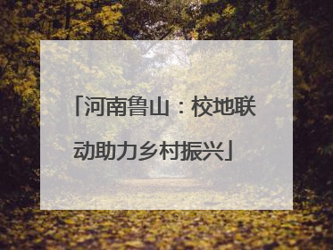 河南鲁山：校地联动助力乡村振兴