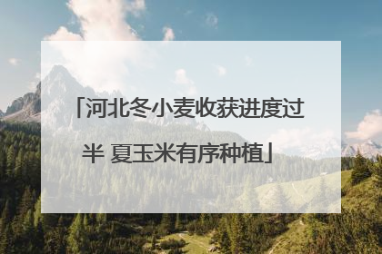 河北冬小麦收获进度过半 夏玉米有序种植