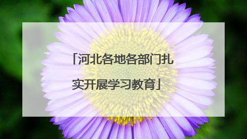 河北各地各部门扎实开展学习教育