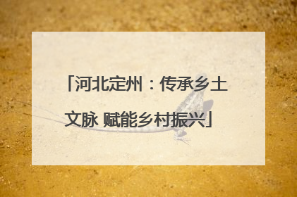 河北定州：传承乡土文脉 赋能乡村振兴