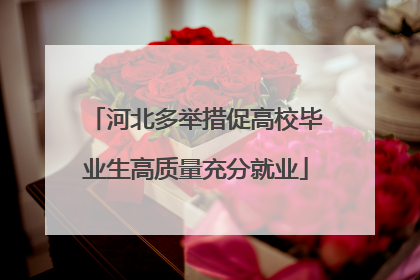 河北多举措促高校毕业生高质量充分就业