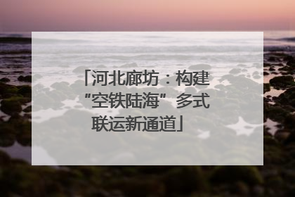 河北廊坊：构建“空铁陆海”多式联运新通道