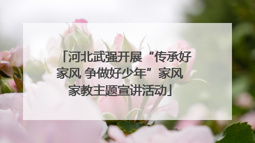 河北武强开展“传承好家风 争做好少年”家风家教主题宣讲活动