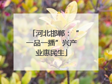 河北邯郸：“一品一播”兴产业惠民生