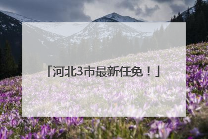 河北3市最新任免！