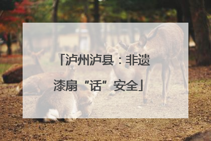 泸州泸县：非遗漆扇“话”安全