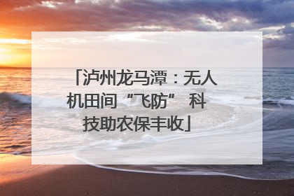 泸州龙马潭：无人机田间“飞防” 科技助农保丰收