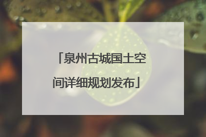 泉州古城国土空间详细规划发布