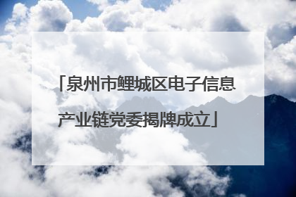 泉州市鲤城区电子信息产业链党委揭牌成立