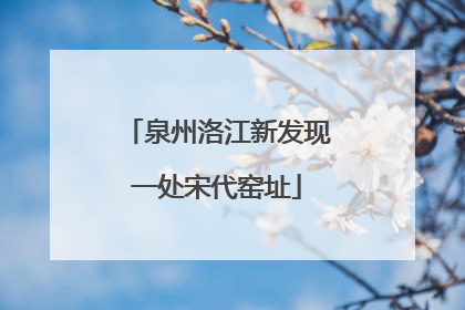 泉州洛江新发现一处宋代窑址