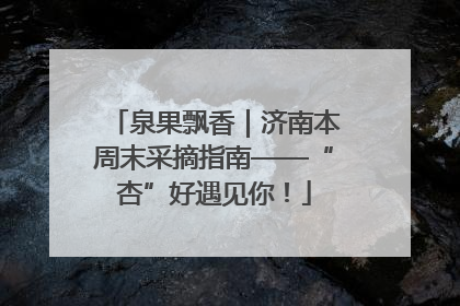 泉果飘香｜济南本周末采摘指南——“杏”好遇见你！
