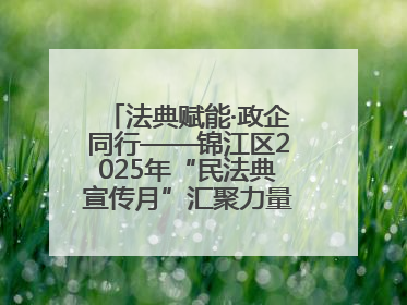 法典赋能·政企同行——锦江区2025年“民法典宣传月”汇聚力量 助推企业发展